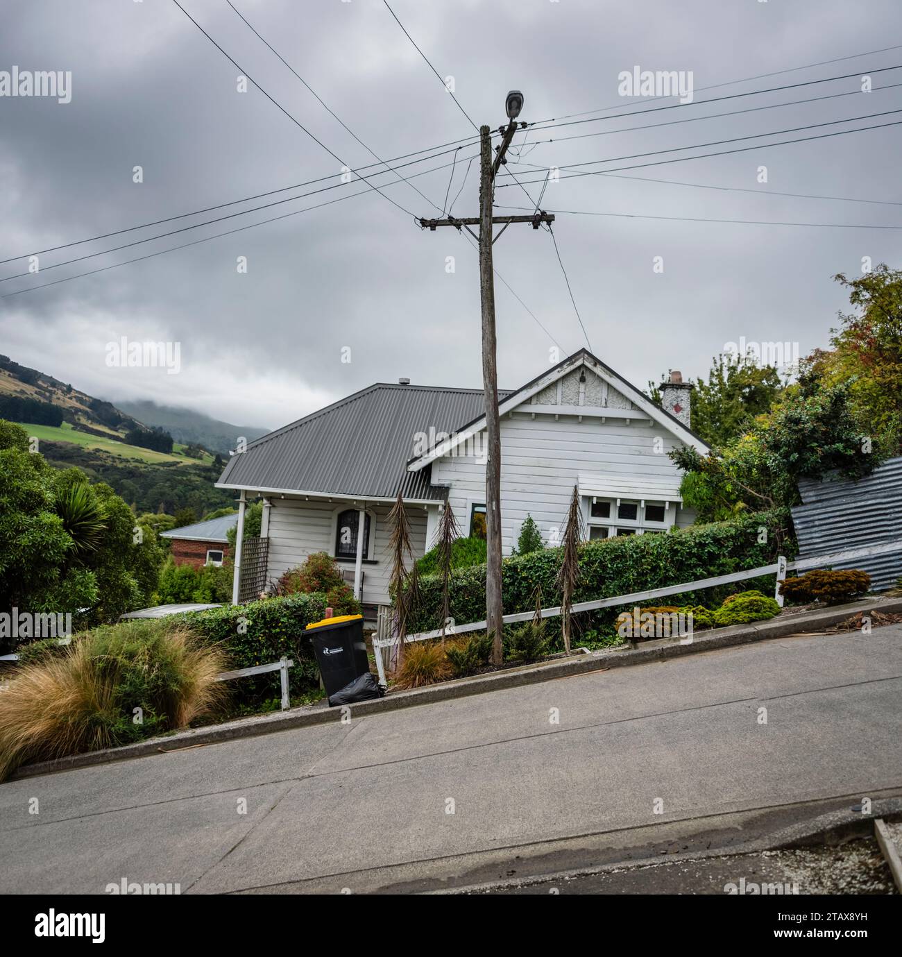 Baldwin Street, Dunedin, New Zealand, Steepest street in the world Stock Photo Alamy