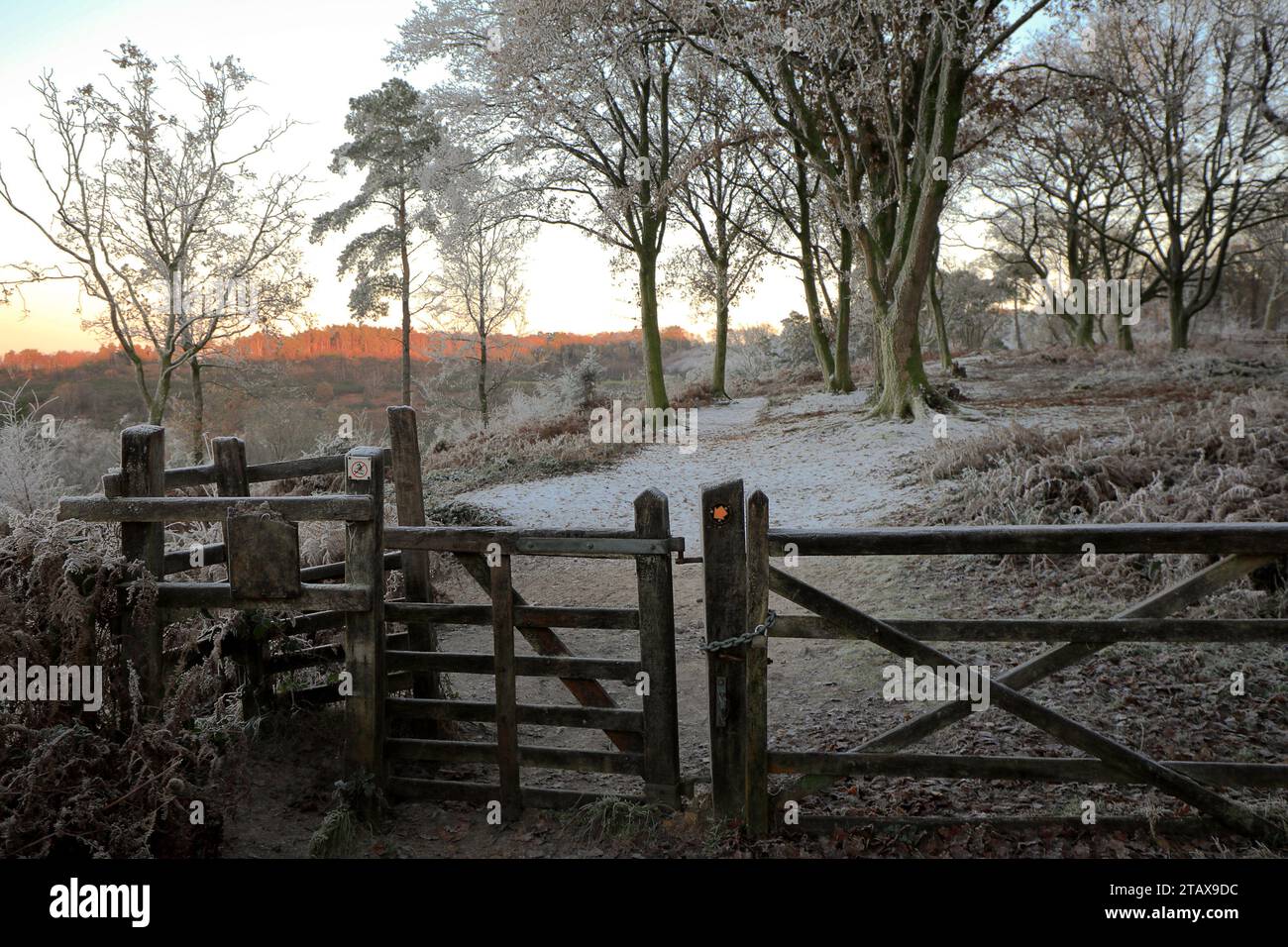 Portsmouth Road, Hindhead. 02nd December 2023. Freezing conditions at