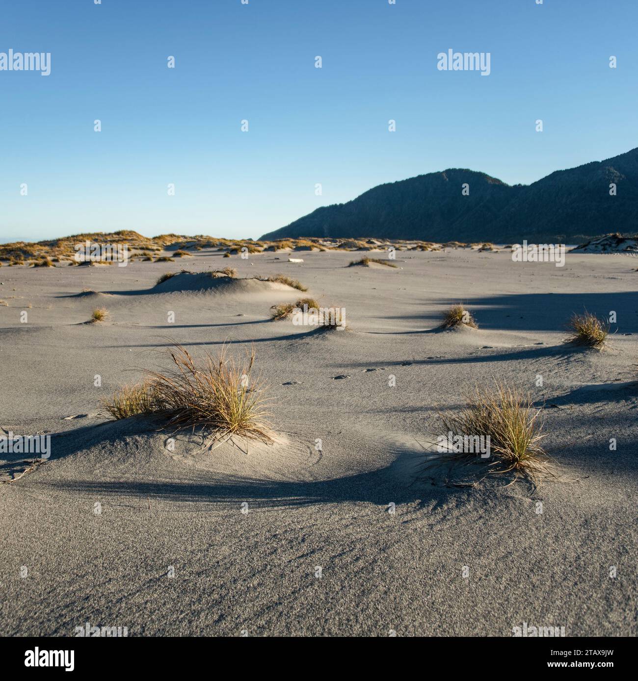 Sculpted sand at Martins Bay, Hollyford Track, south island, New Zealand Stock Photo