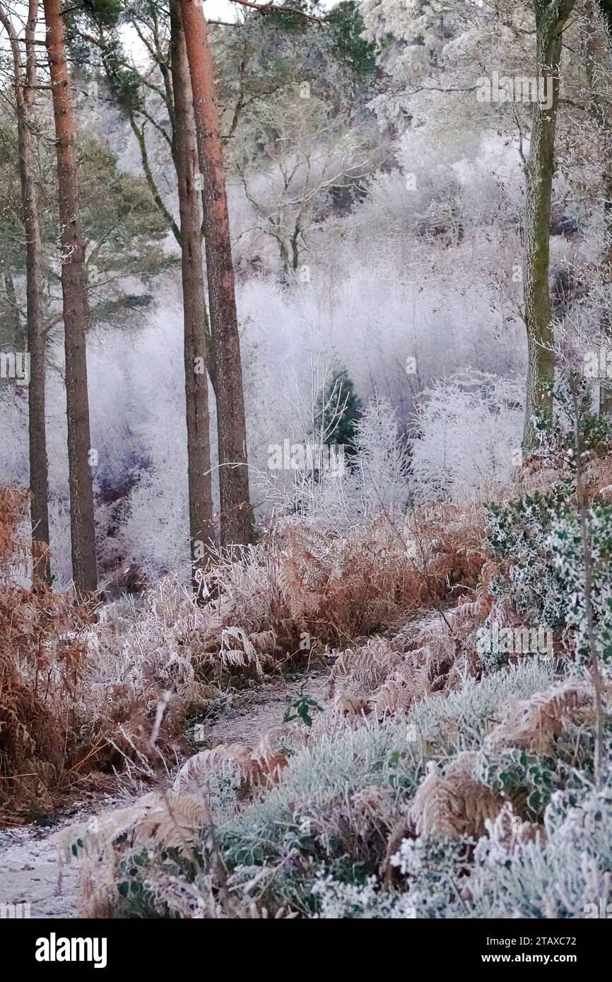 Portsmouth Road, Hindhead. 02nd December 2023. Freezing conditions at