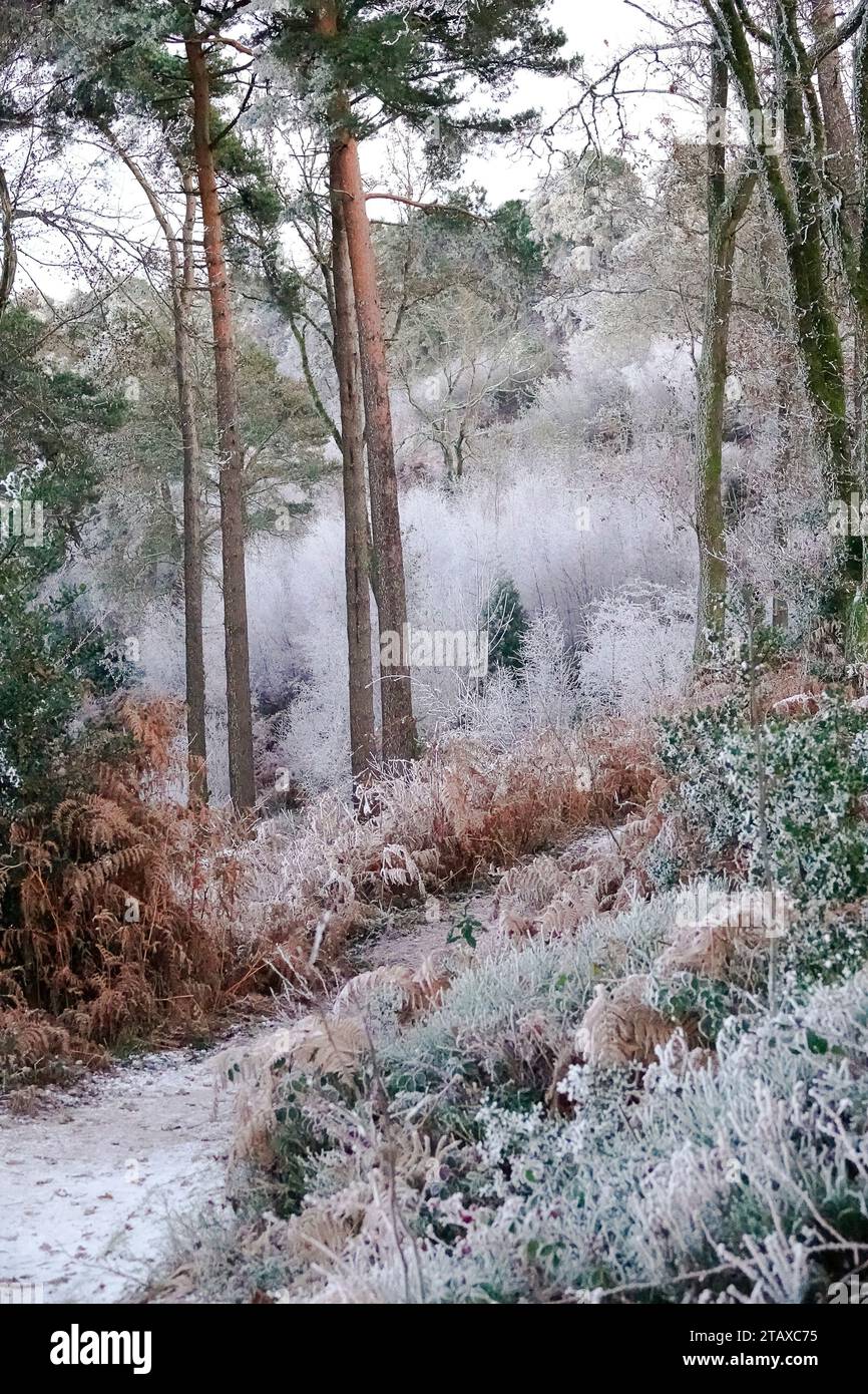 Portsmouth Road, Hindhead. 02nd December 2023. Freezing conditions at