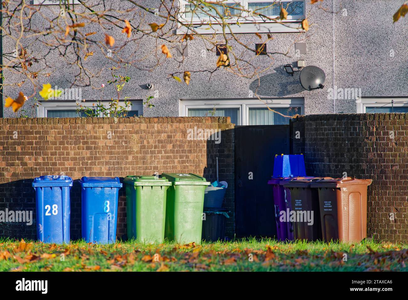 Wheelie bins in row for refuge collection outside council residential