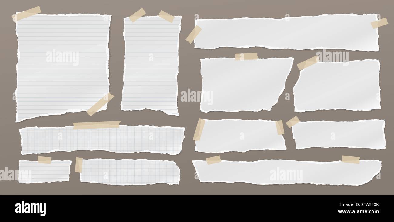 Paper Strips Ripped Notebook Set of torn, ripped paper strips, lined notebook sheet with adhesive ...
