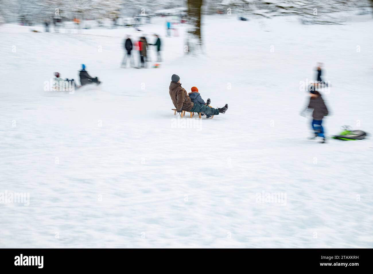 munich-germany-03rd-dec-2023-impressions-from-luitpoldpark-where