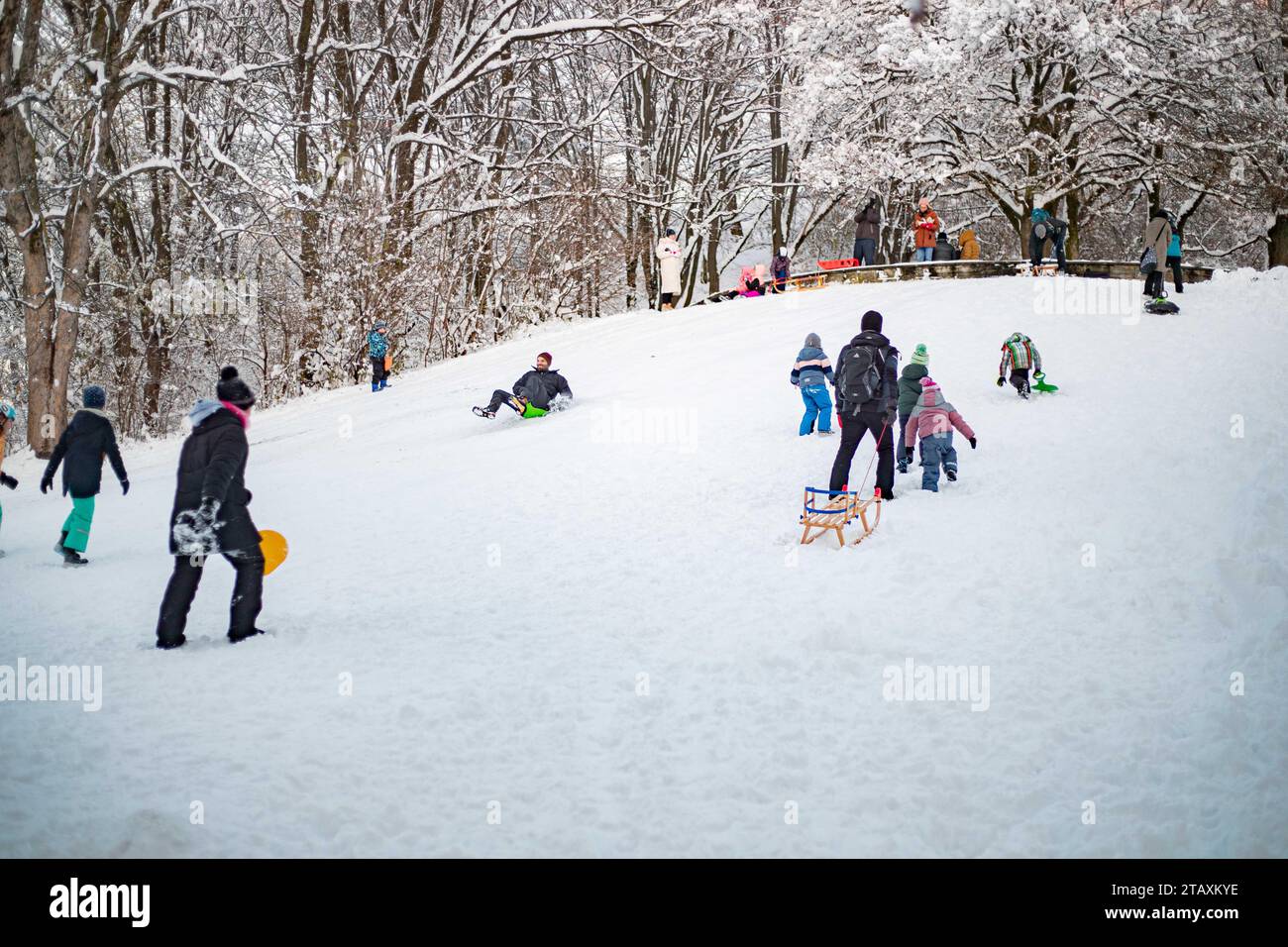 munich-germany-03rd-dec-2023-impressions-from-luitpoldpark-where