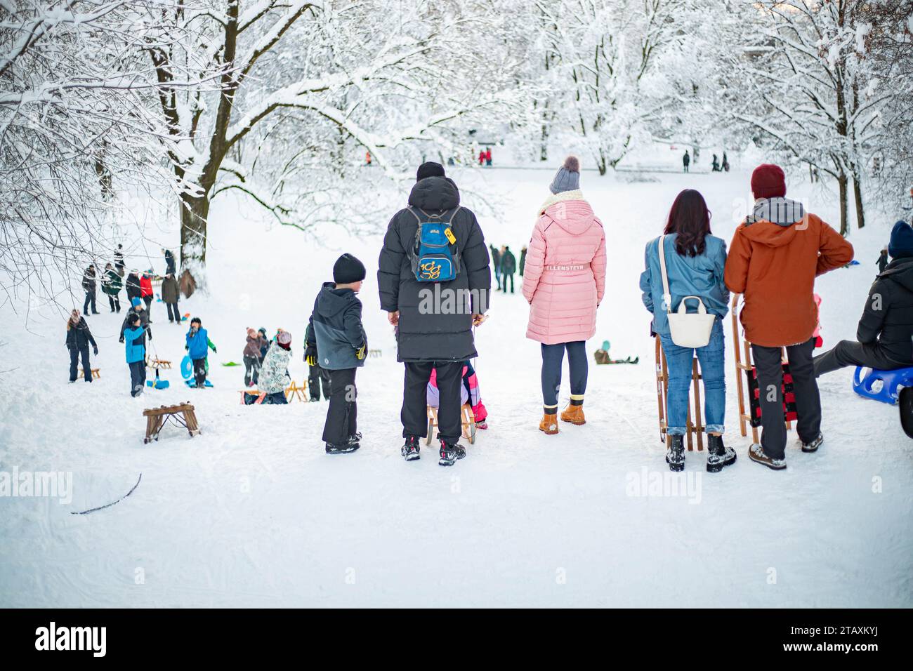 munich-germany-03rd-dec-2023-impressions-from-luitpoldpark-where