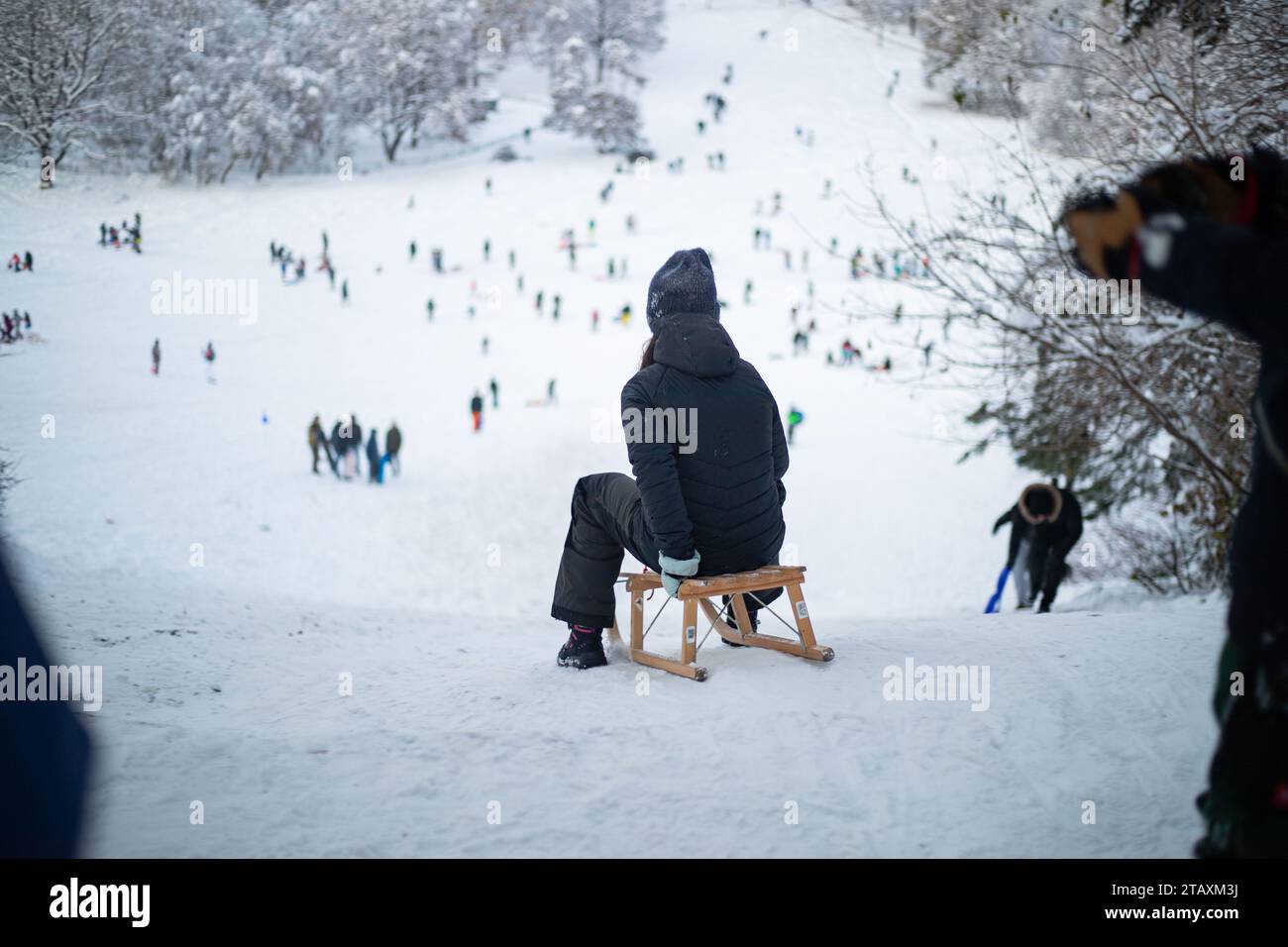 munich-germany-03rd-dec-2023-impressions-from-luitpoldpark-where