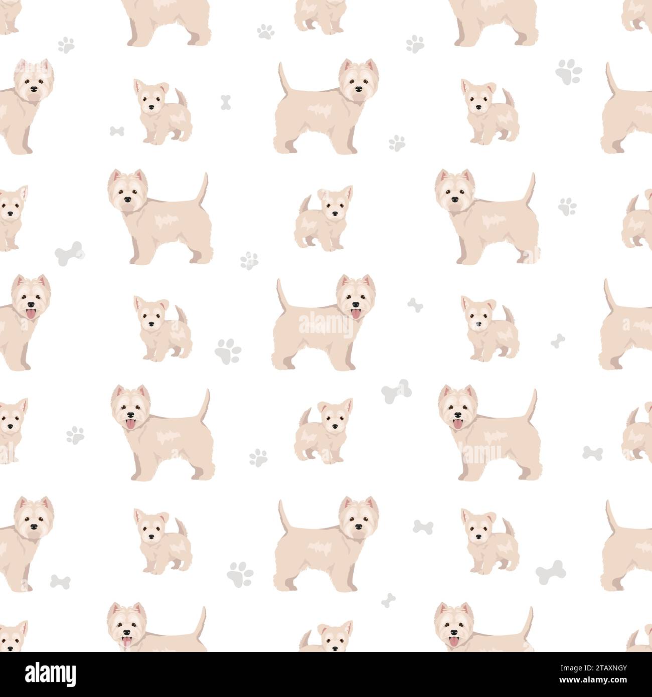 Westie white coat Stock Vector Images Alamy