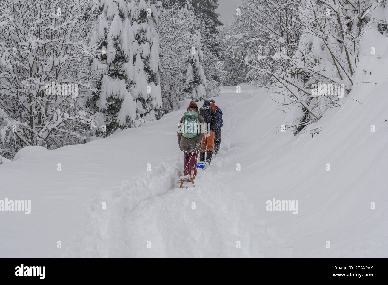 02.12.2023/Heiligwasserweg, Patscherkofel, Igls, Innsbruck, Tirol