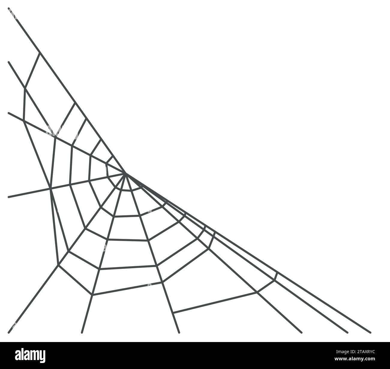 Spider web isolated on white background. Vector illustration Stock Vector