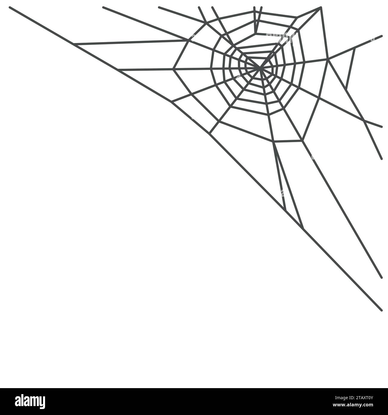 Spider web isolated on white background. Vector illustration Stock Vector