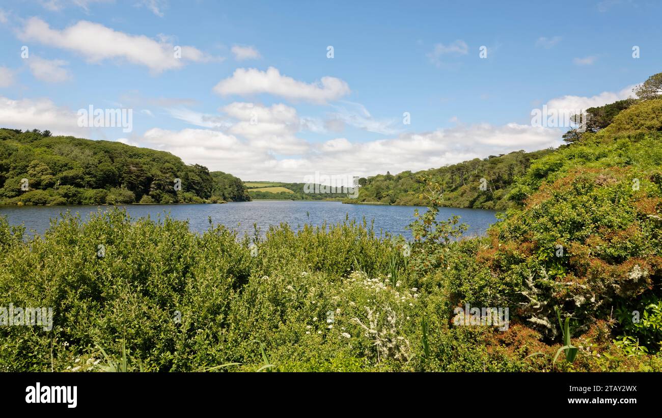 Loe Pool, Cornwall’s largest natural freshwater lake, view north from the southern tip of Degibna Wood, Penrose, near Porthleven, The Lizard, Cornwall Stock Photo