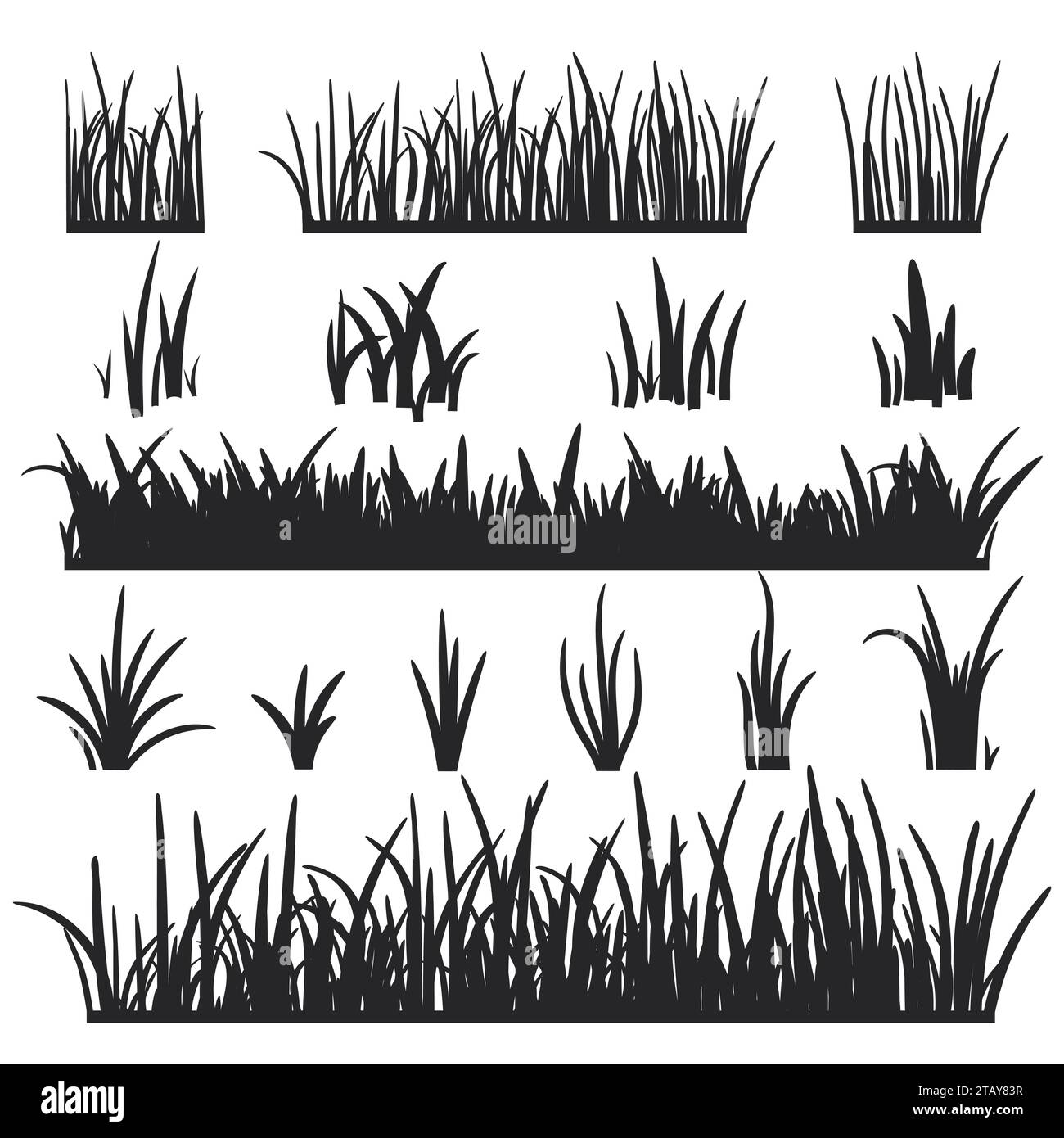 Set of black grass silhouettes isolated on white background. Grass ...