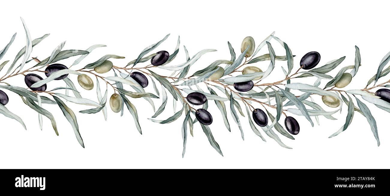 Watercolor seamless border with black and green olives and branch. Hand ...