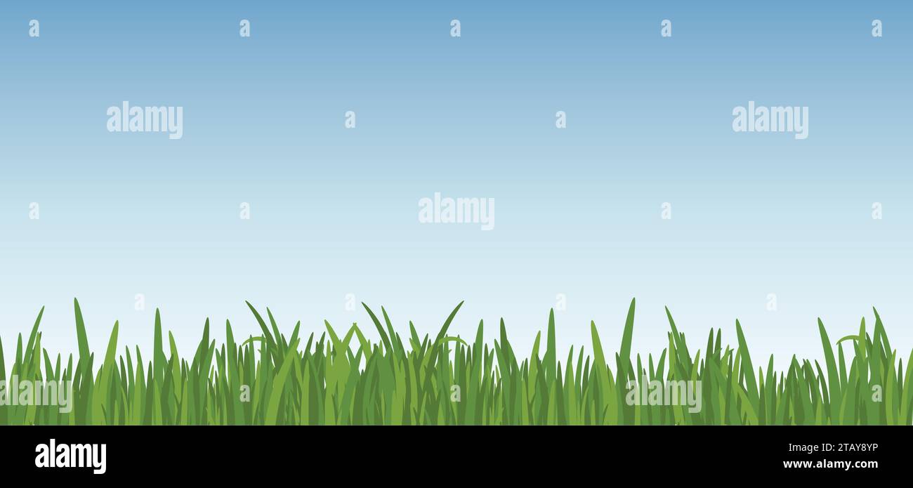 Landscape with dreen grass against the blue sky background. grass leaves and lawn at the foreground. Stock Vector