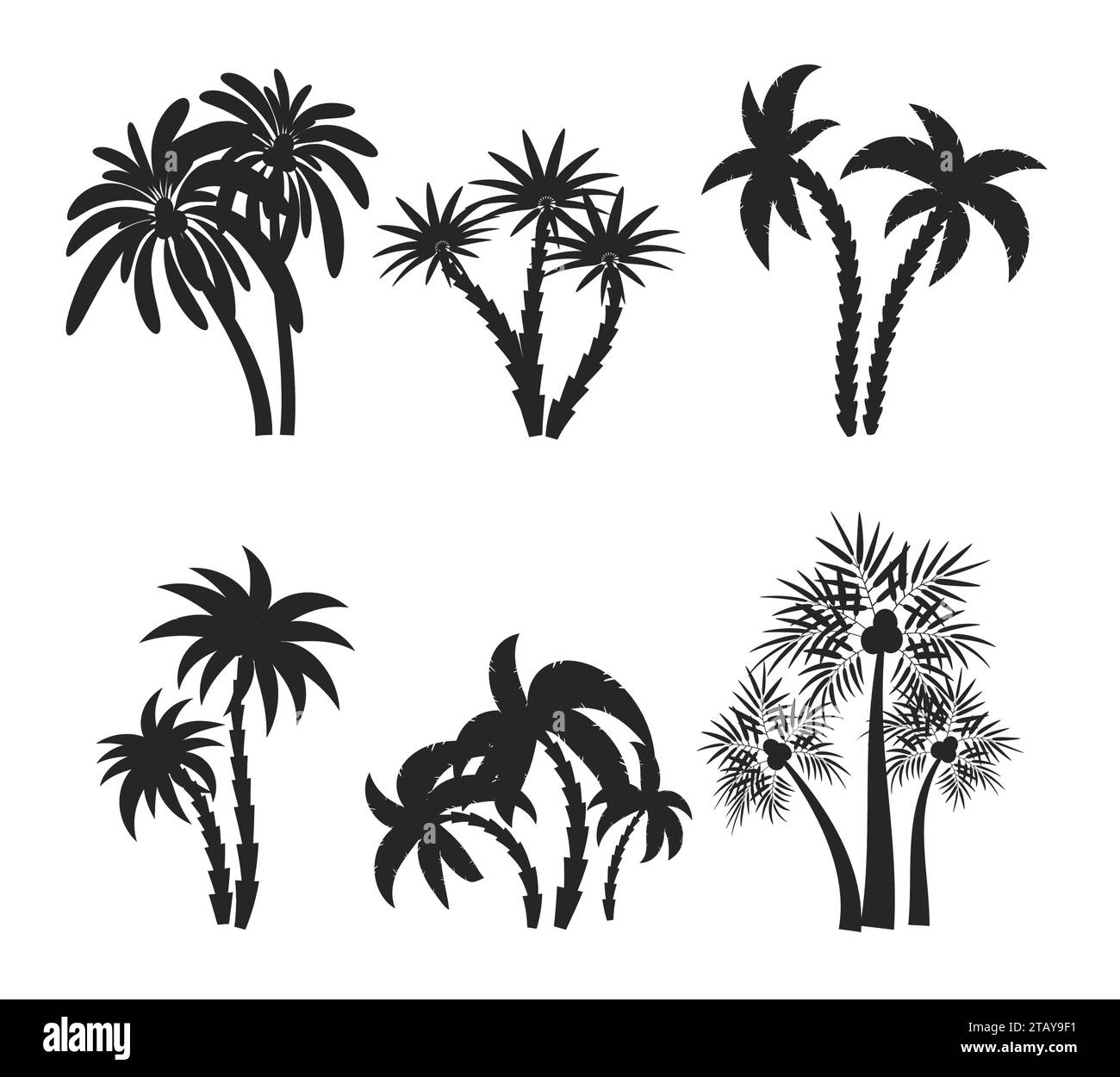 Different palm trees set silhouettes isolated on white background