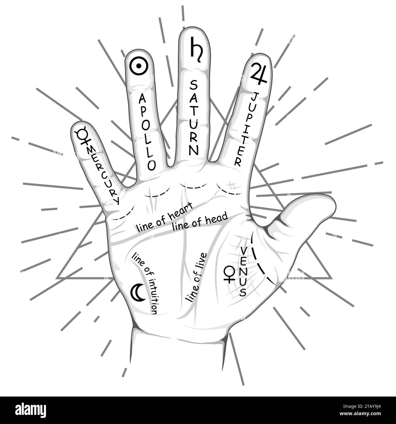 Palmistry or chiromancy hand with signs of the planets and zodiac signs. Palmistry map on open palm. Divination and prediction of the future. Mystic Stock Vector