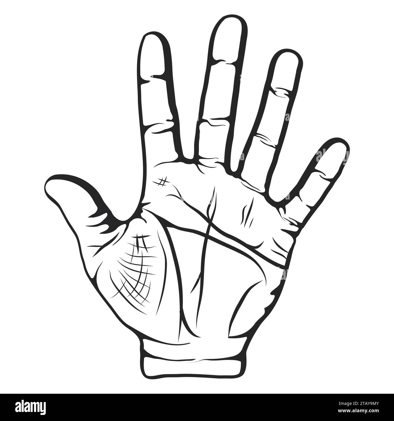 Opened palm of the hand is lifted up isolated on white background, Five fingers gesture. Divination by lines on the palm. Vector illustration Stock Vector