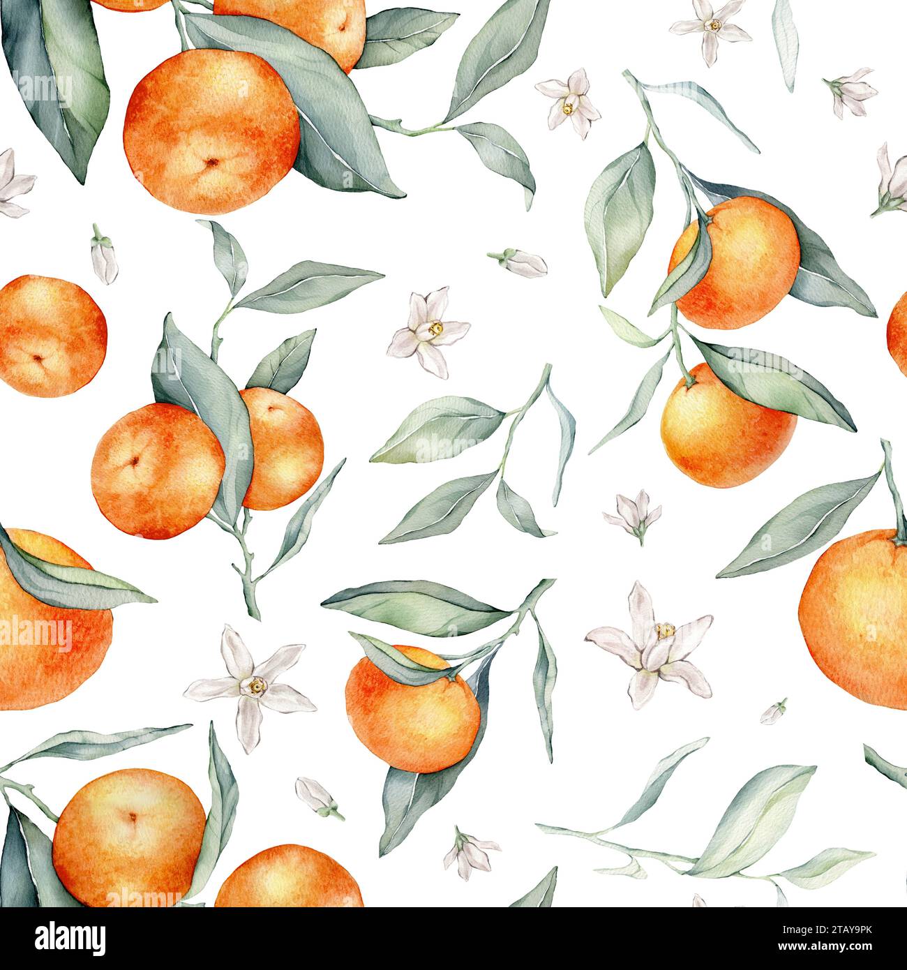 Seamless Pattern with Orange Fruit Branches, green leaves and white ...