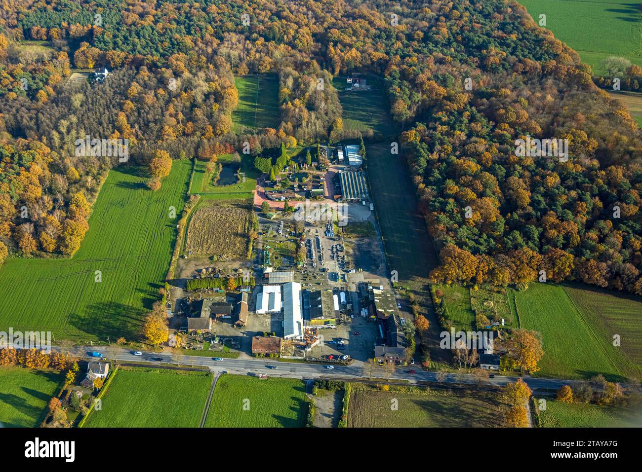 Gartencenter hires stock photography and images Alamy