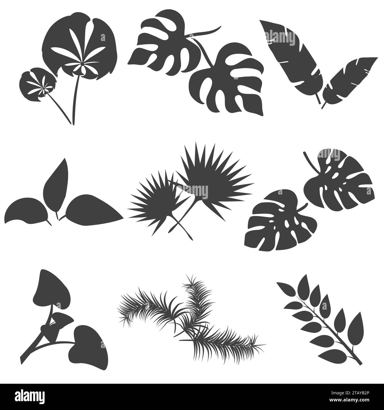 Tropical leaves silhouettes vector set isolated on white background. Different leaf collection. Jungle forest flora. Banana and exotic palm leaves Stock Vector