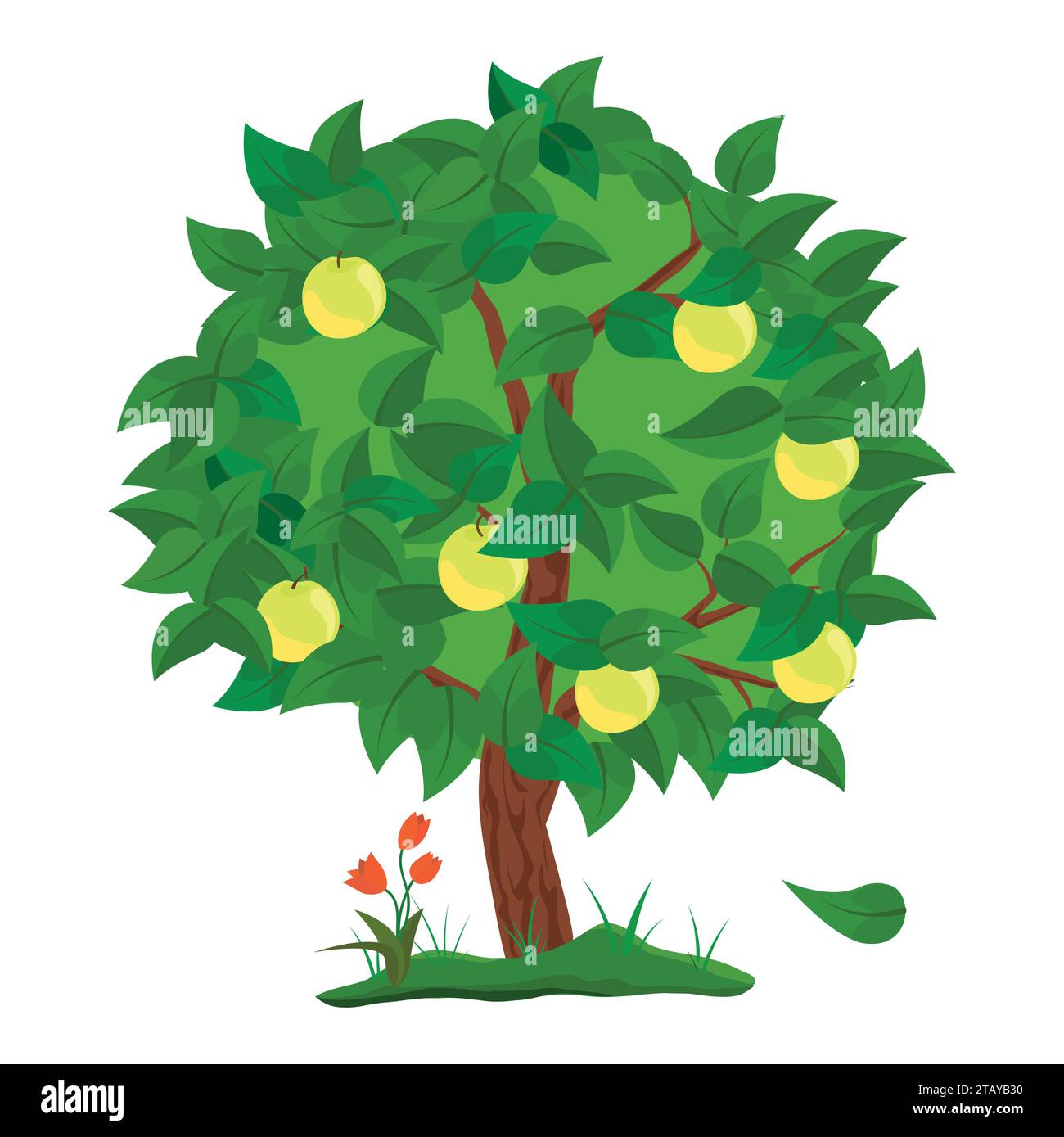 Green Apple tree with apples fruit isolated on white background. Vector Illustration Stock Vector