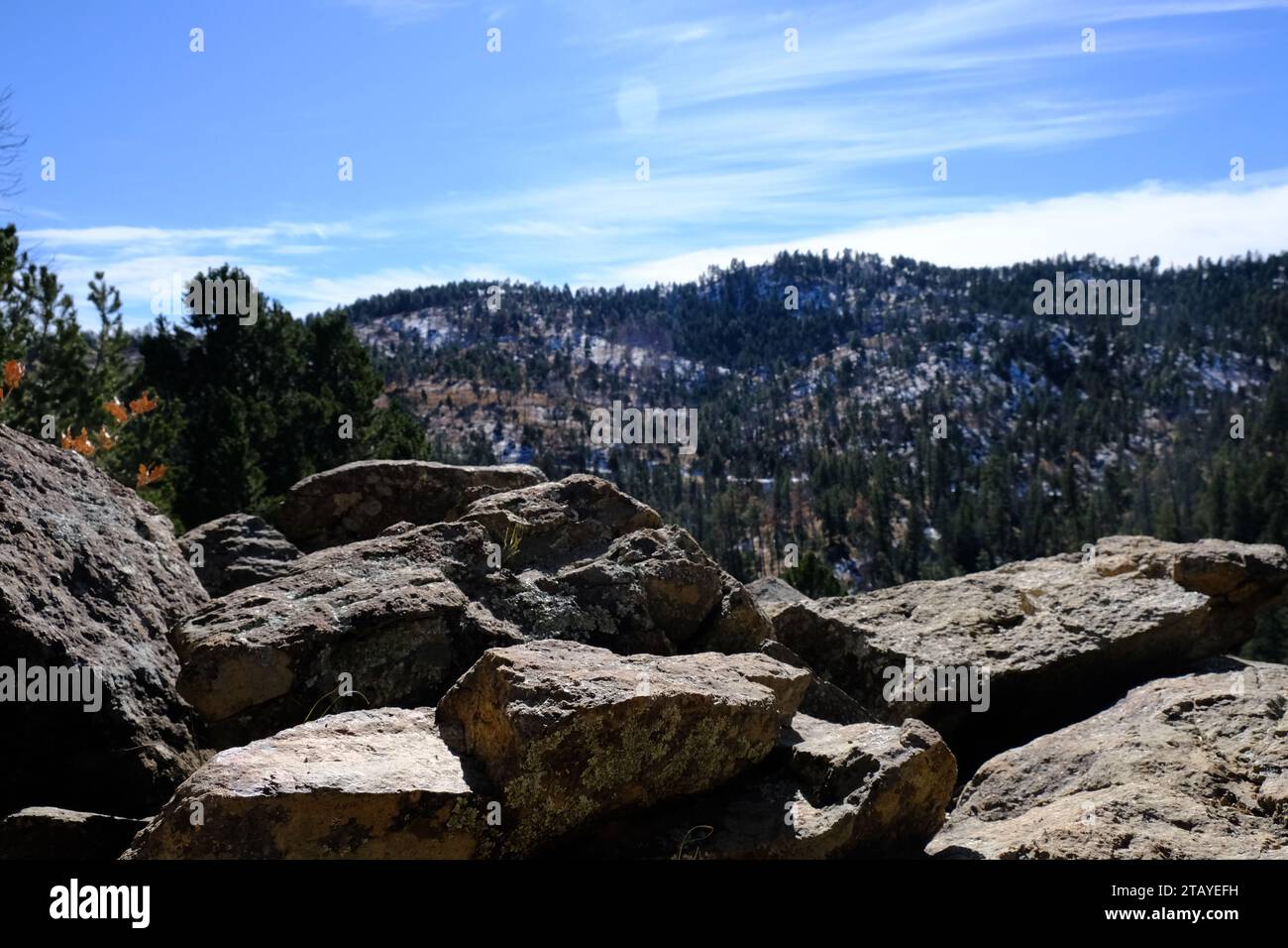 This is from a series of photos that I shot at the Grindstone Lake Loop