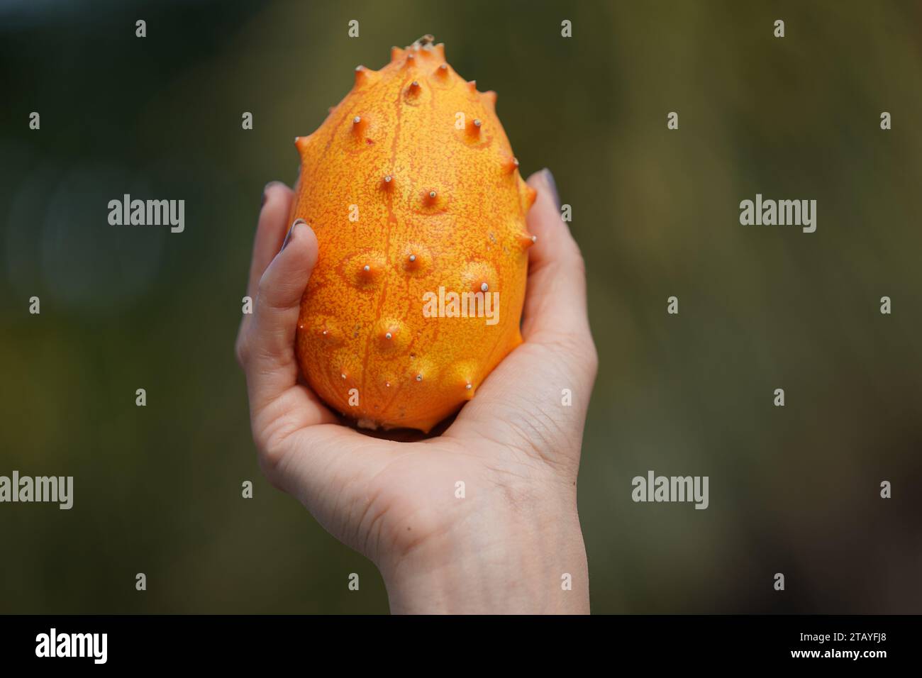 Kiwano melon Stock Photo