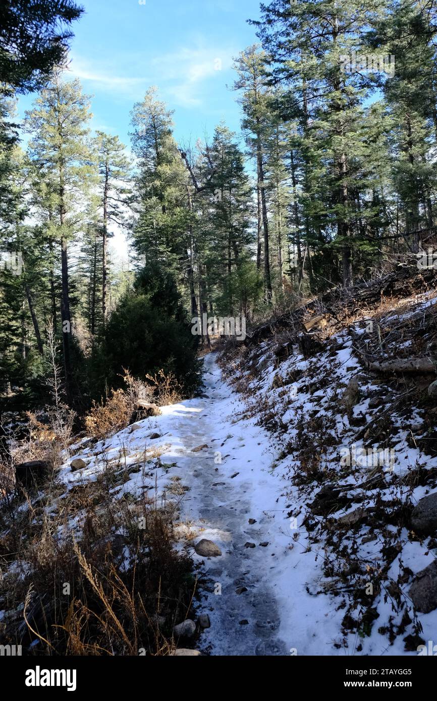 This is from a series of photos that I shot at the Grindstone Lake Loop