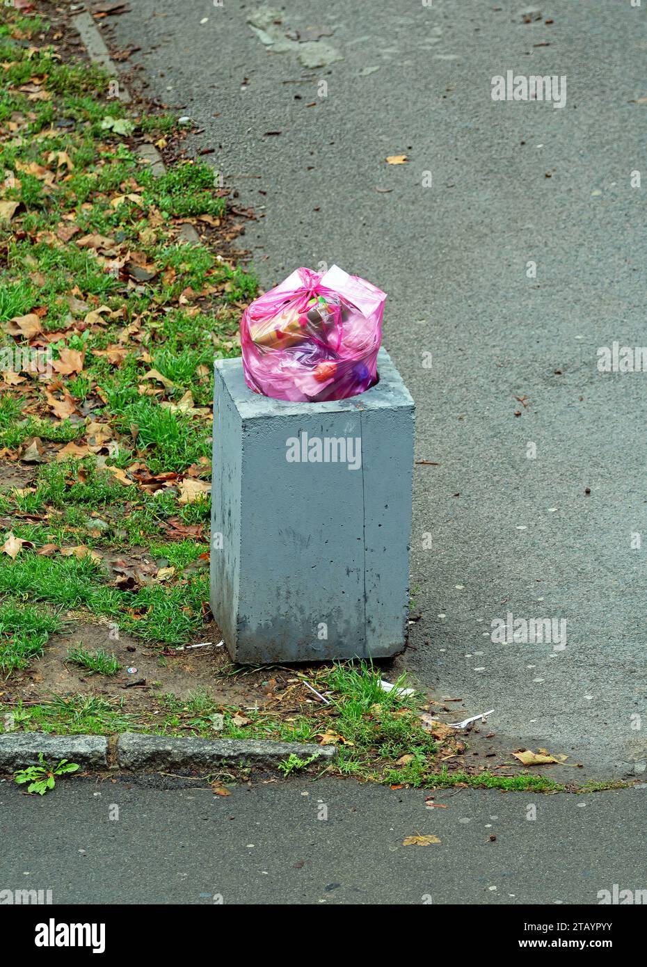 Incorrectly exposed garbage in a plastic bag inside public park dropped