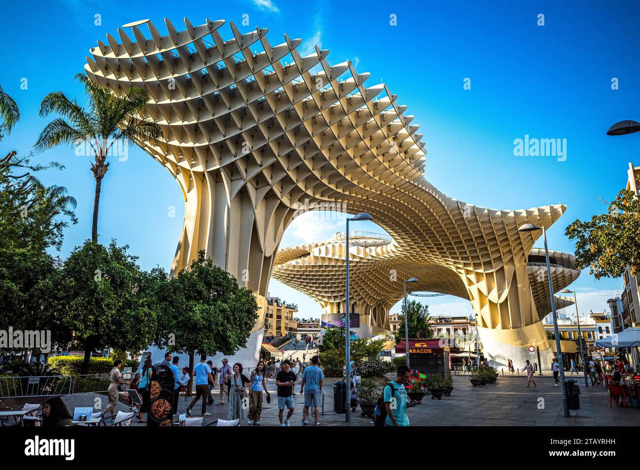 Metropol Parasol pérgola de madera llamado Setas de Sevilla Spain Stock Photo