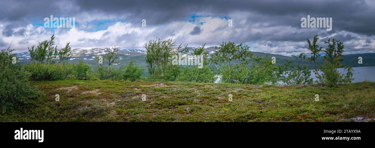 Wide altitude range hi-res stock photography and images - Alamy