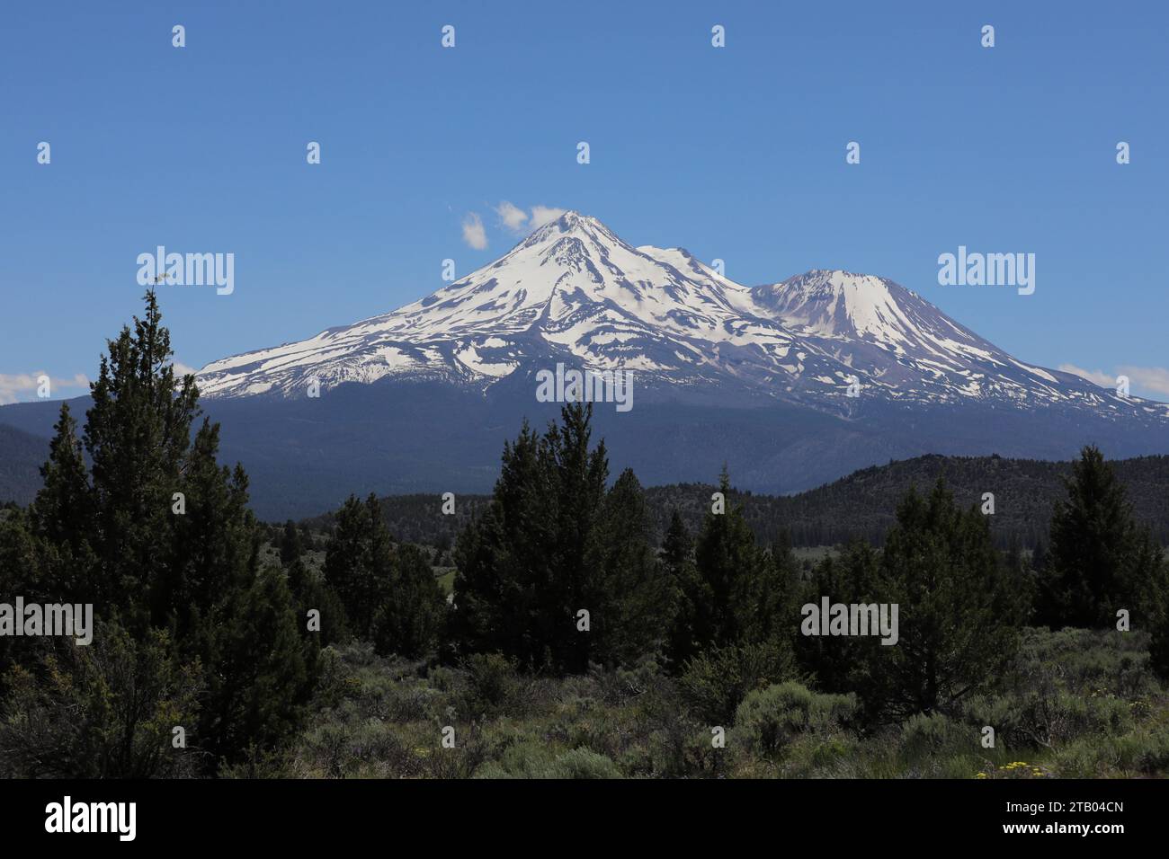 mount shasta Stock Photo