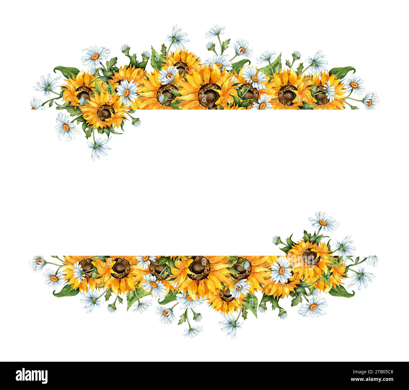 Watercolor illustration of a frame of yellow sunflowers and white