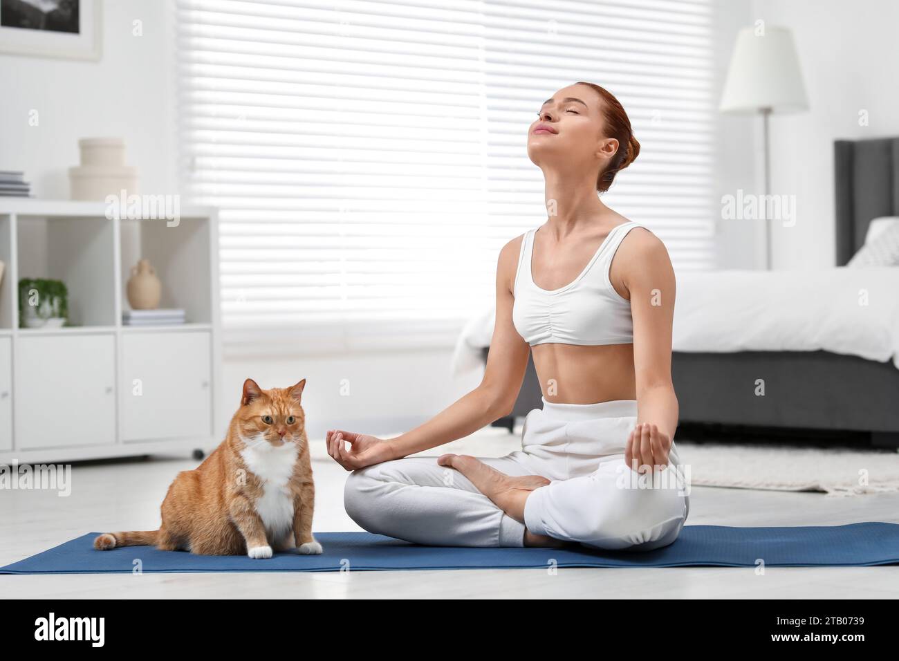 https://c8.alamy.com/comp/2TB0739/beautiful-woman-with-cute-red-cat-practicing-yoga-on-mat-at-home-2TB0739.jpg