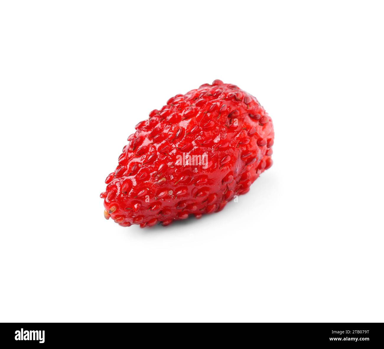 One ripe wild strawberry isolated on white Stock Photo - Alamy