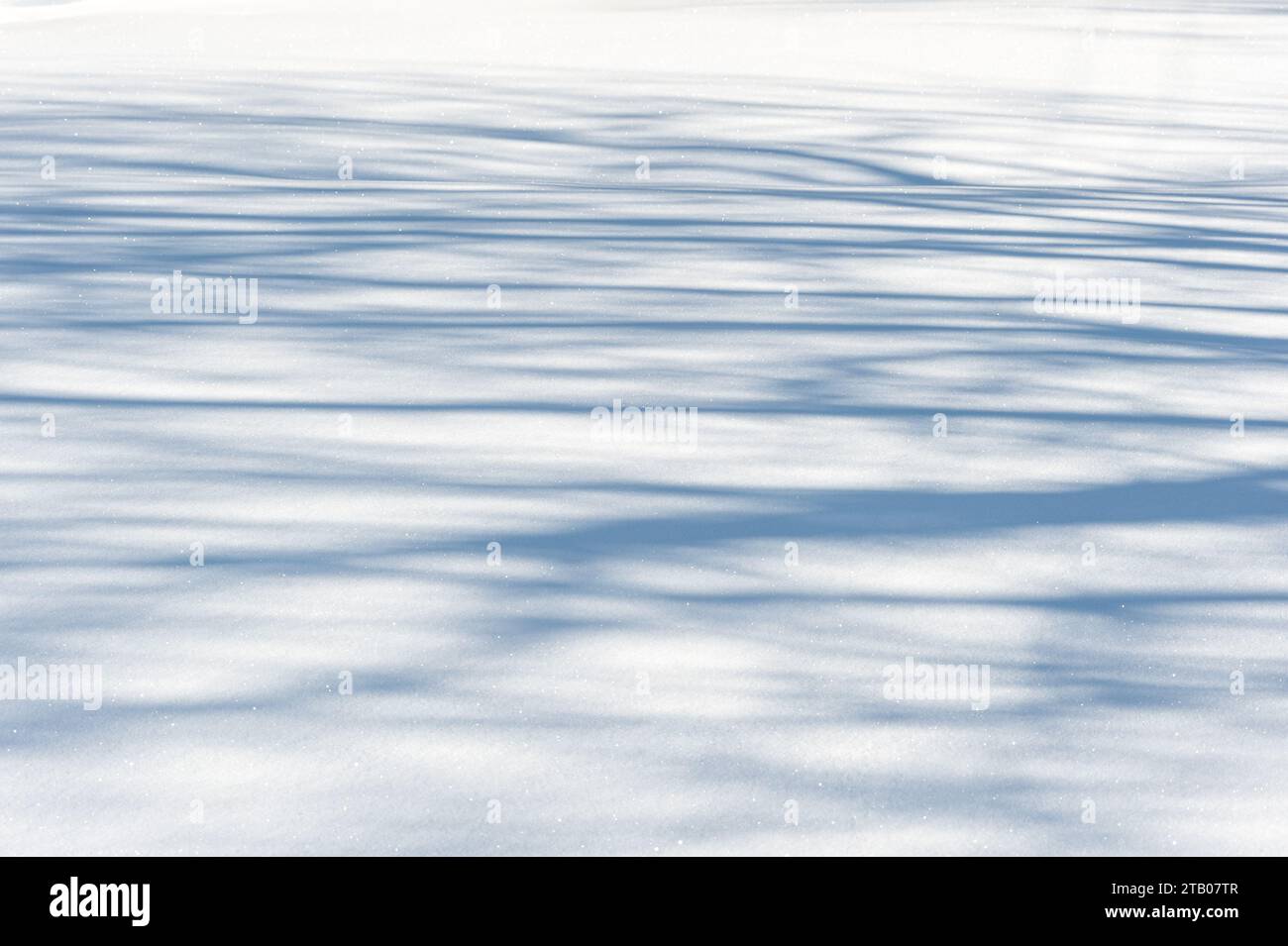 Shadows on freshly fallen snow Stock Photo