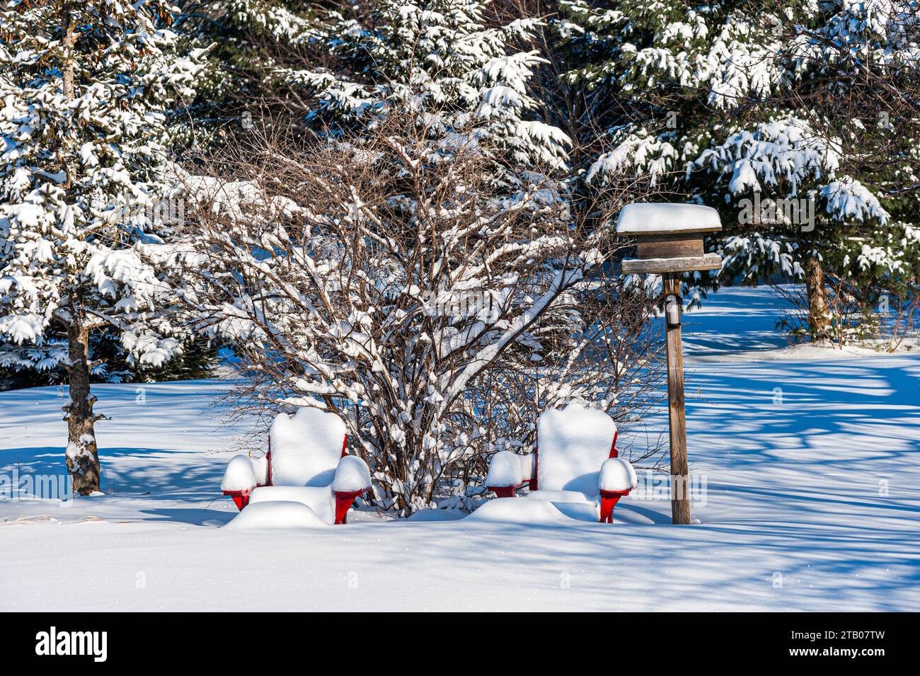 two red muskoka chairs in snow Stock Photo