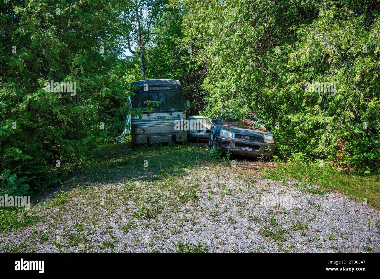 Abandoned bus and cars Stock Photo