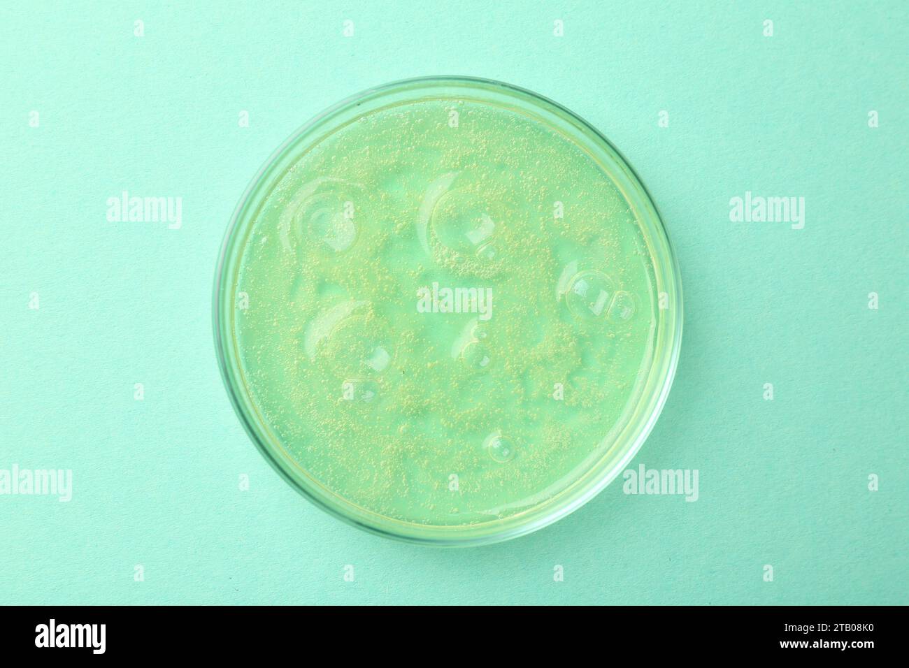 Petri dish with color liquid sample on light blue background, top view ...