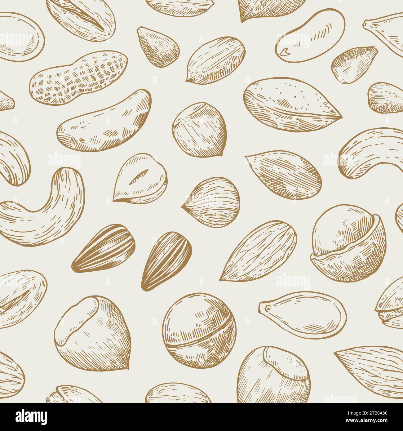 Seamless pattern with nuts and seeds. Sketch drawing in engraving style ...