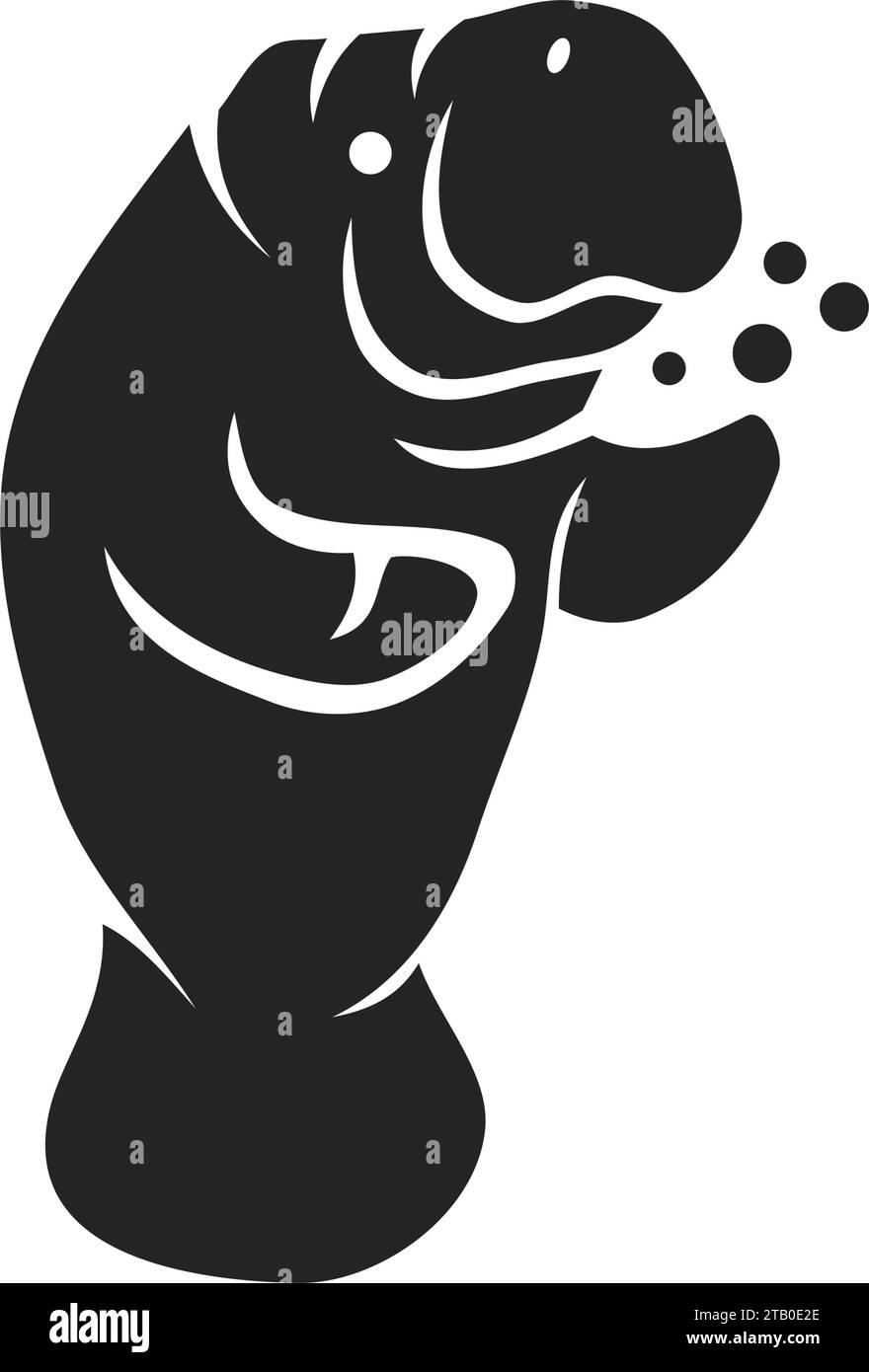 Dugong dugong Black and White Stock Photos & Images - Alamy