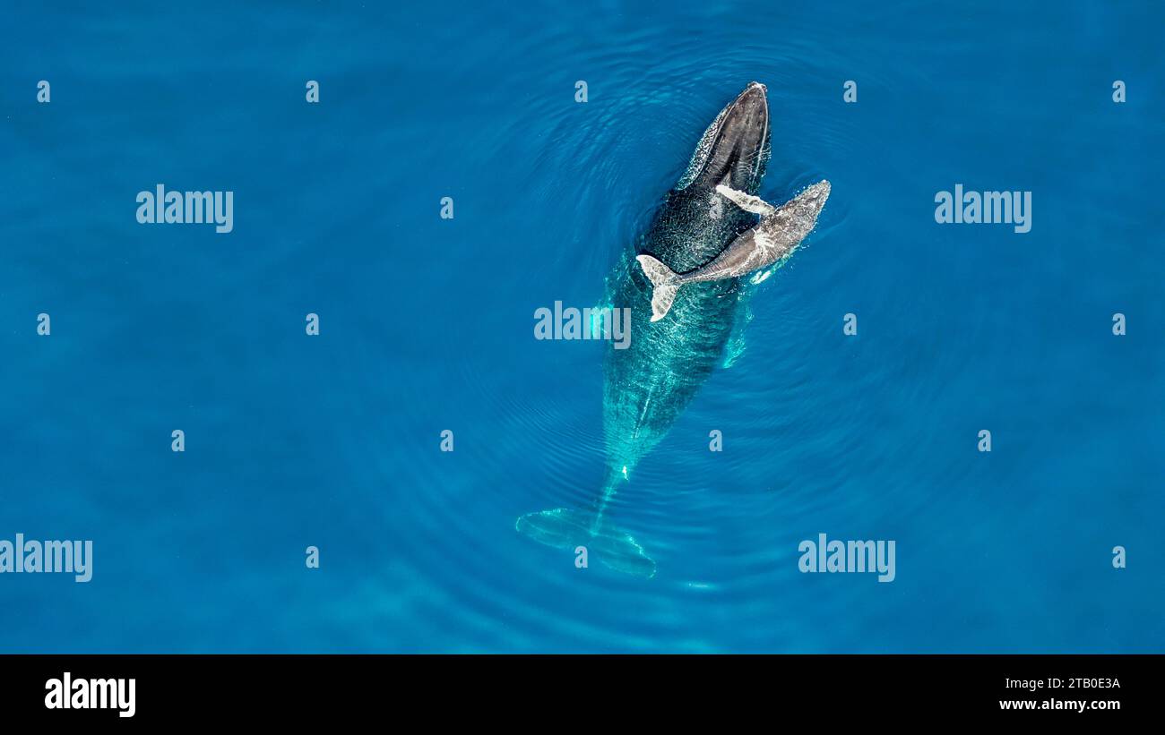 Sunday in the Mayotte lagoon Indian Ocean Stock Photo