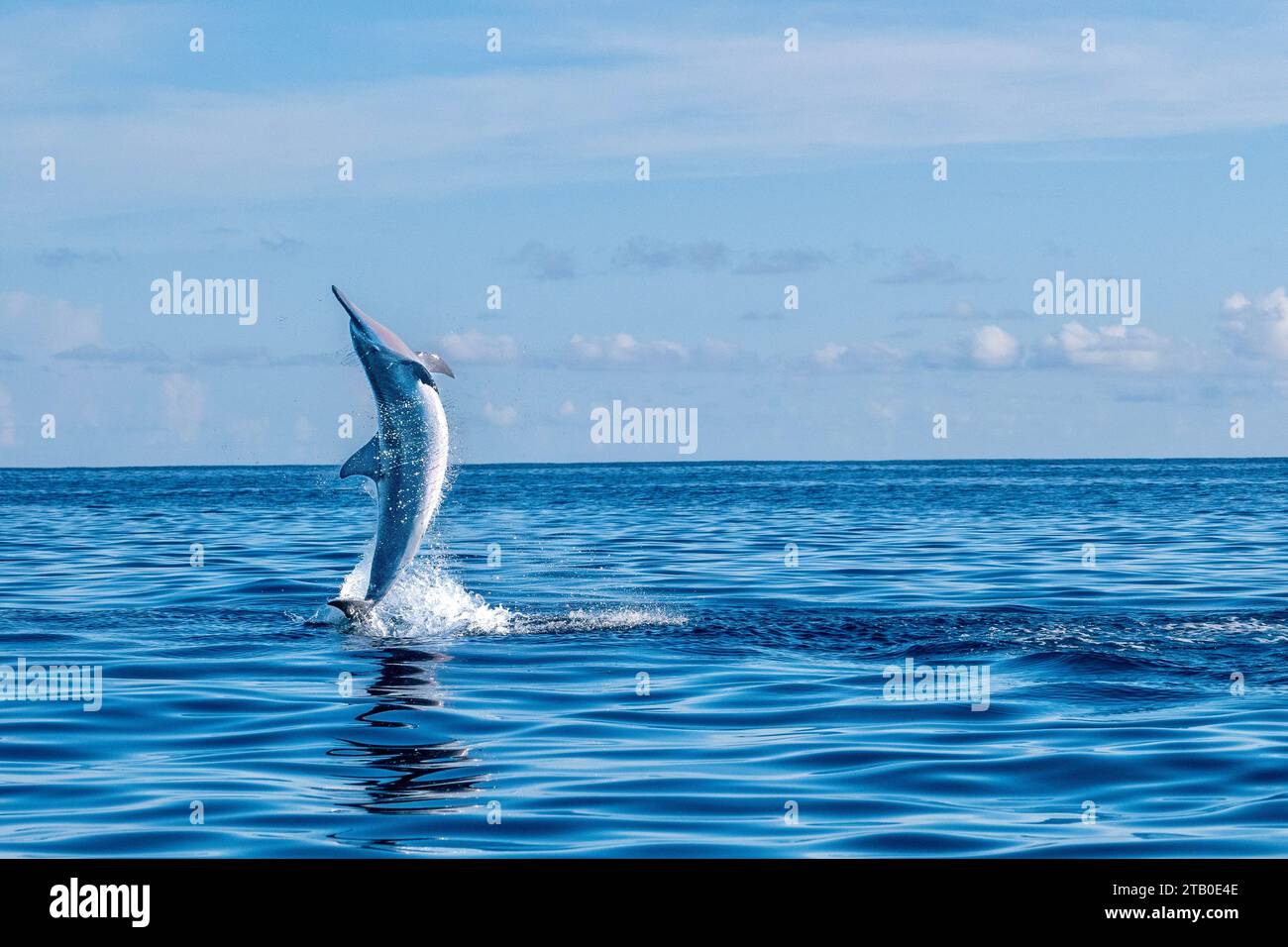Sunday in the Mayotte lagoon Indian Ocean Stock Photo