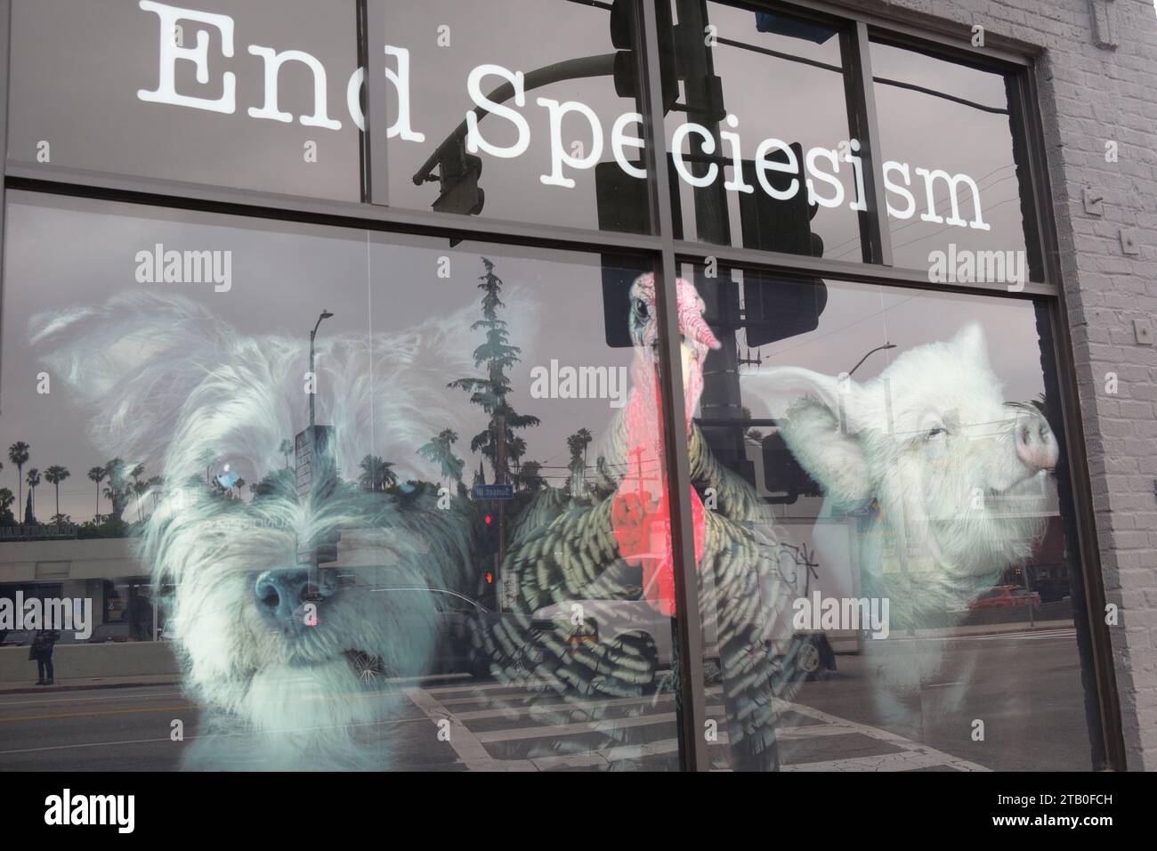 Peta animal rights hires stock photography and images Alamy