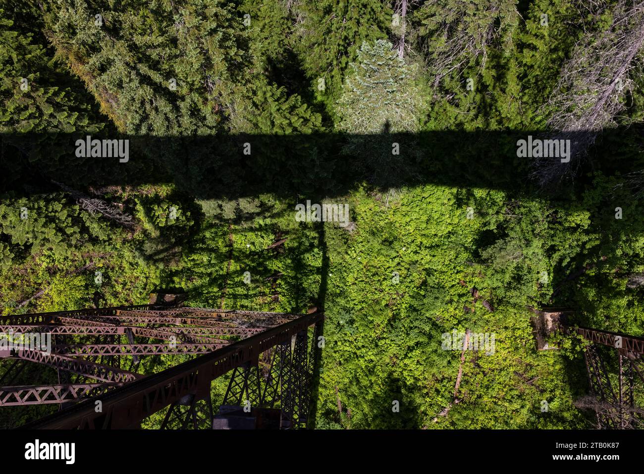 Trestle shadow below a trestle along the Hiawatha Scenic Bike Trail, Montana and Idaho, USA Stock Photo