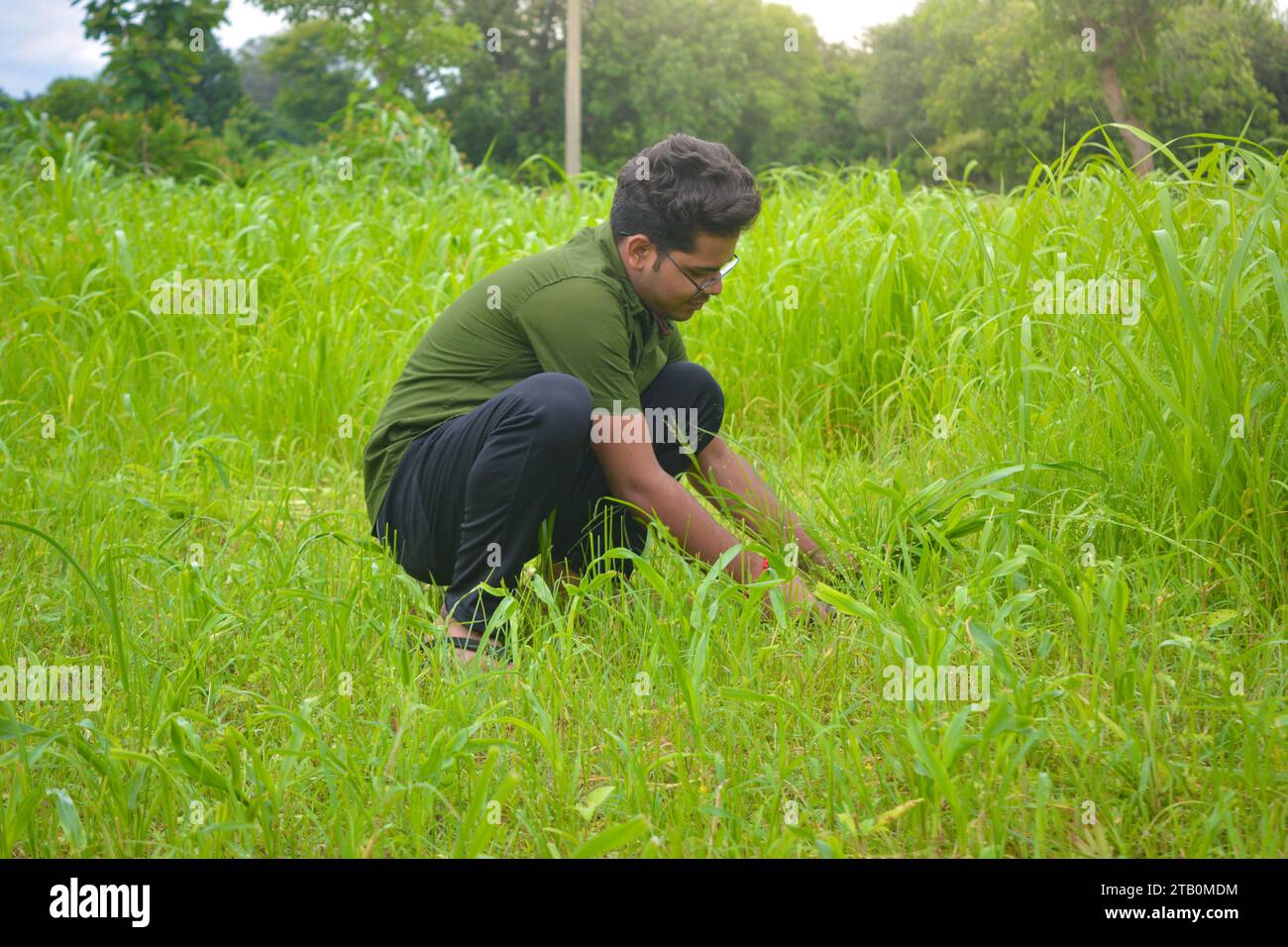TIKAMGARH, MADHYA PRADESH, INDIA - AUGUST 11, 2022: Young indian farmer cutting grass. Stock Photo