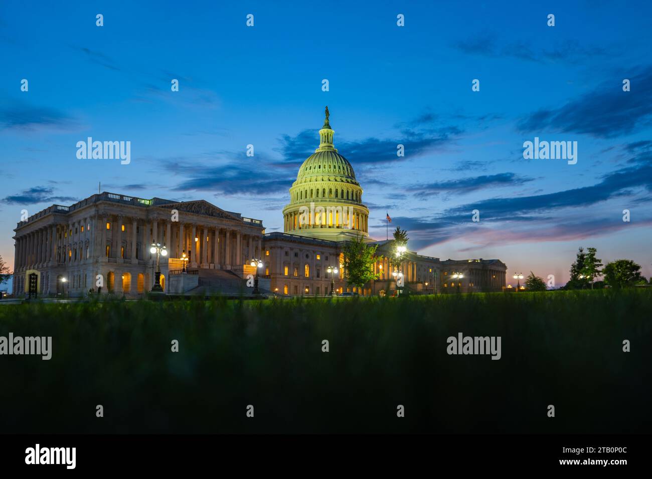 Washington DC. Capitol building. USA Congress, Washington D.C. Grass, park, night shoot. Stock Photo