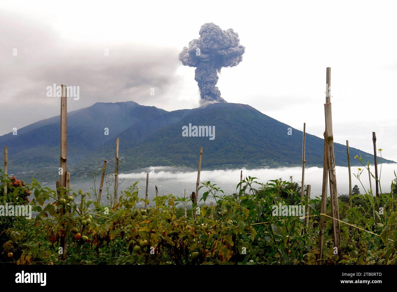 Mount Marapi spews volcanic materials during its eruption in Agam, West ...