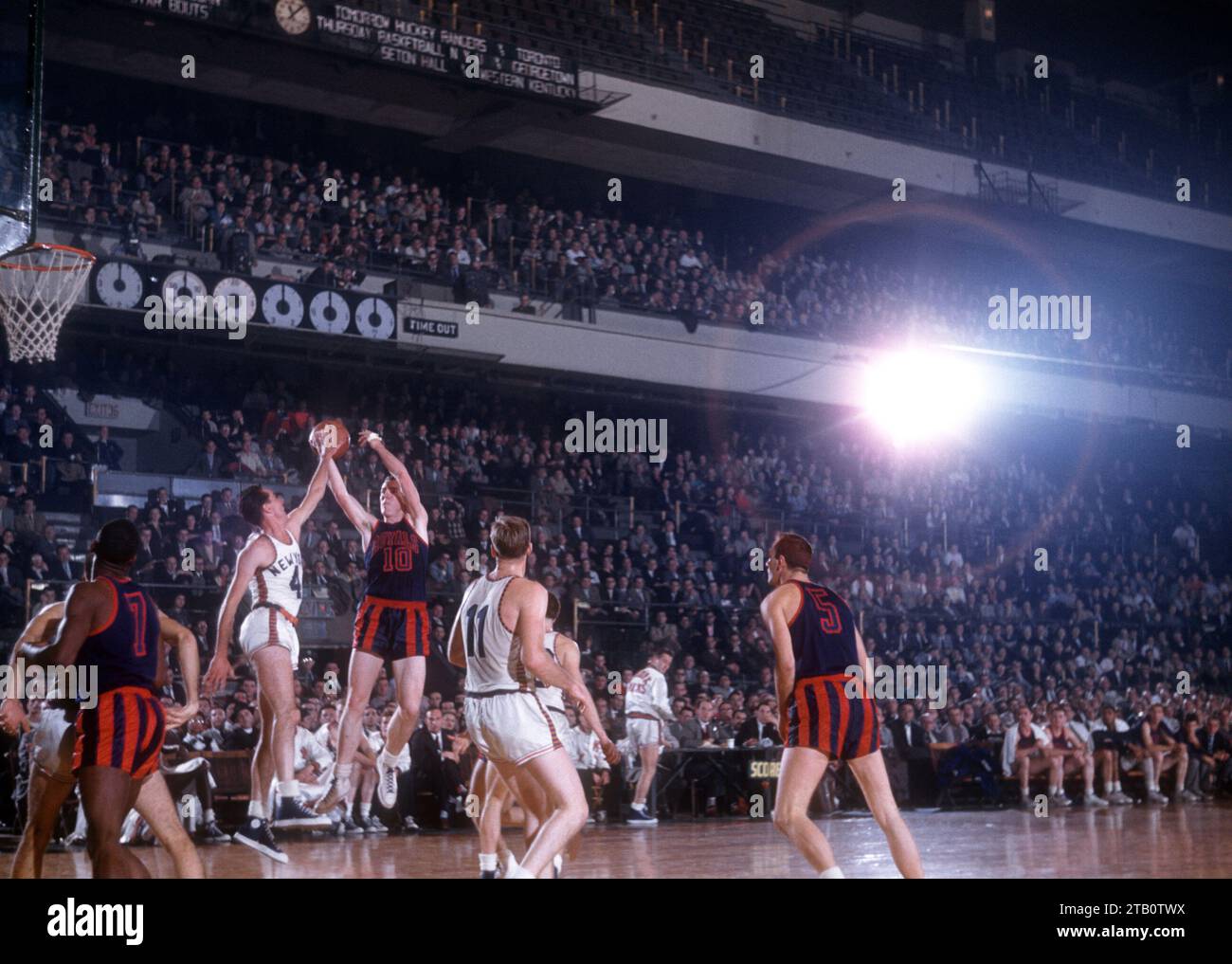 Carl braun clearance nba